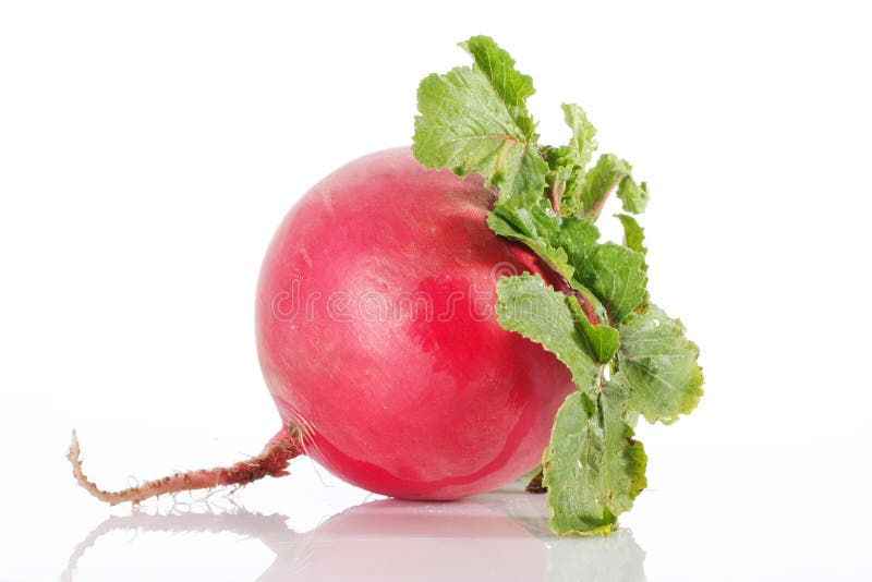 4,800+ Radish Knife Stock Photos, Pictures & Royalty-Free Images