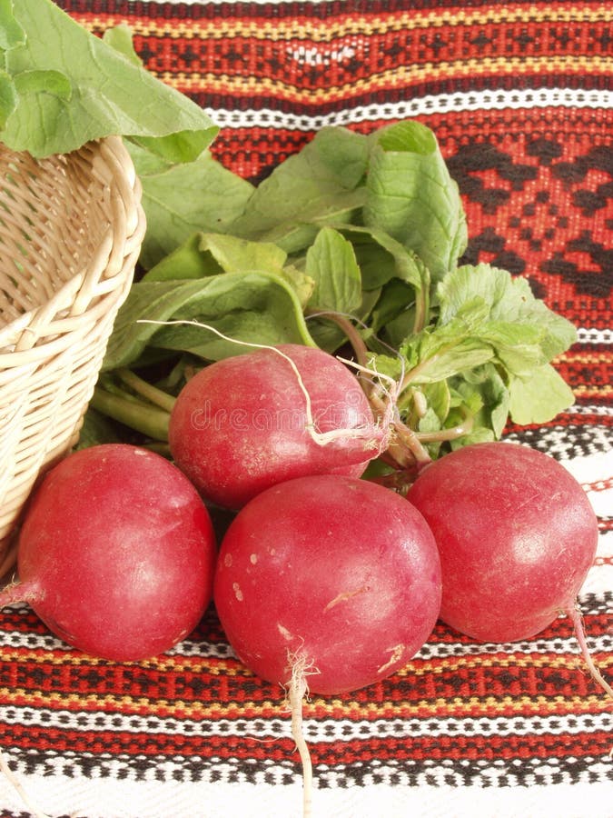 Radish