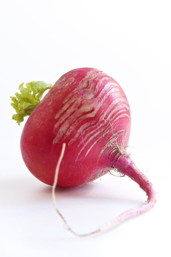 Radish