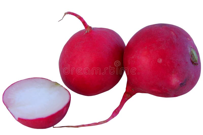 Radish