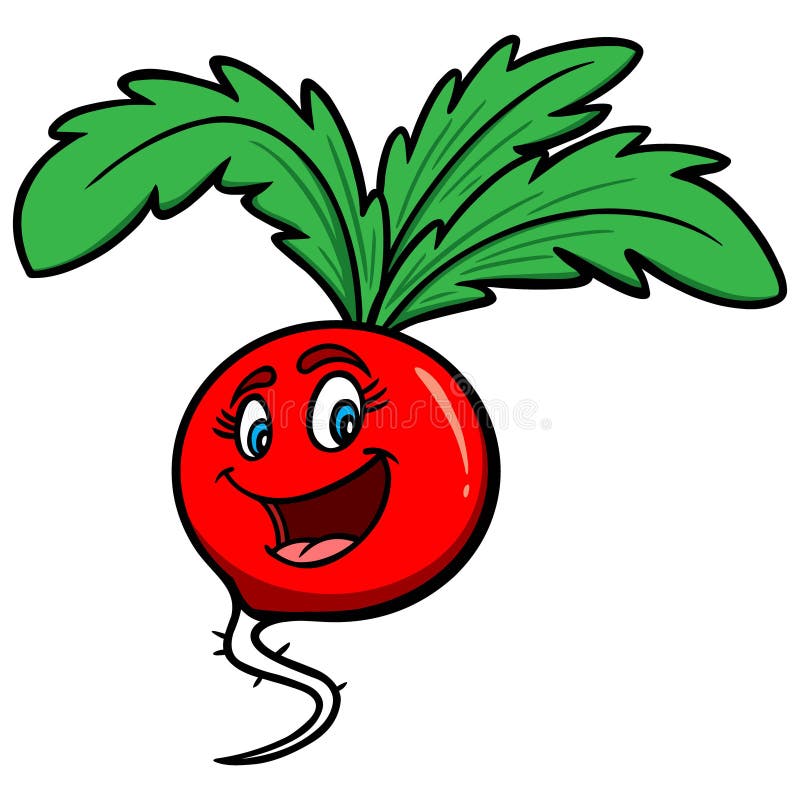 Radish Cartoon stock vector. Illustration of vector, vegetable - 72948401