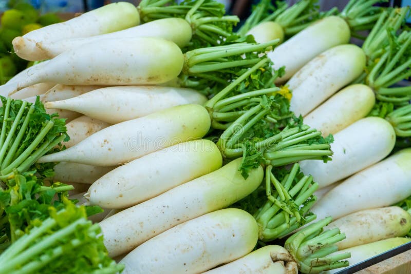 A Radish Counter in the Grocery Store`s Vegetable Section Stock Photo