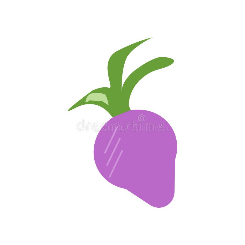 Radish Icon Vector Isolated on White Background, Radish Sign Stock