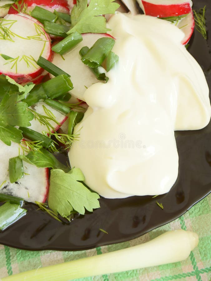 Radish Salad with Mayonnaise. Stock Image Image of dill, mayonnaise