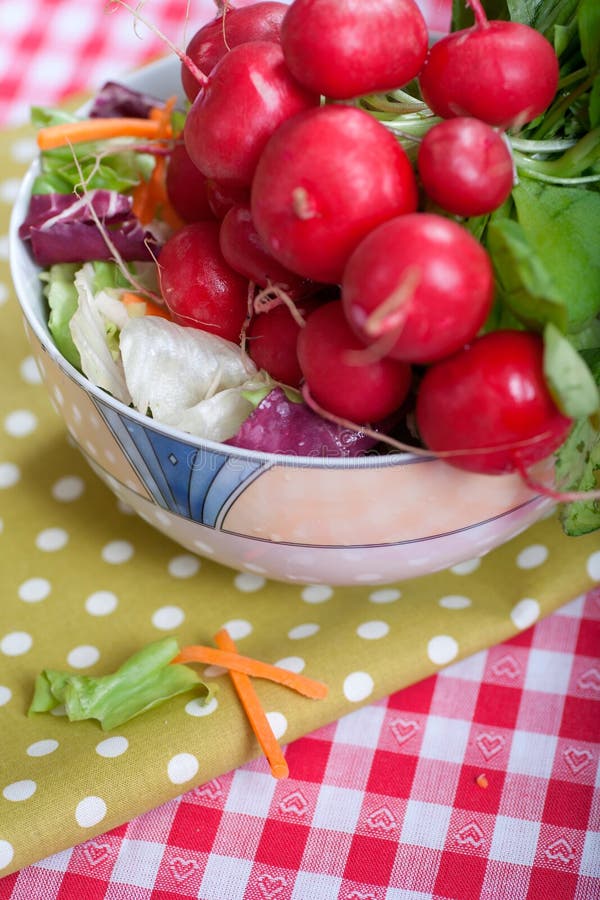 Radishes stock photo. Image of eating, healthy, restaurant 18707498
