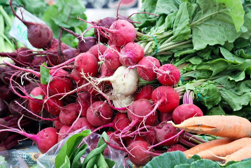 Radishes