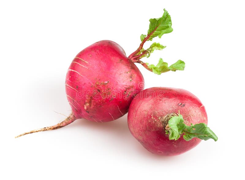 Radishes big one stock photo. Image of vegetables, healthy 36786630