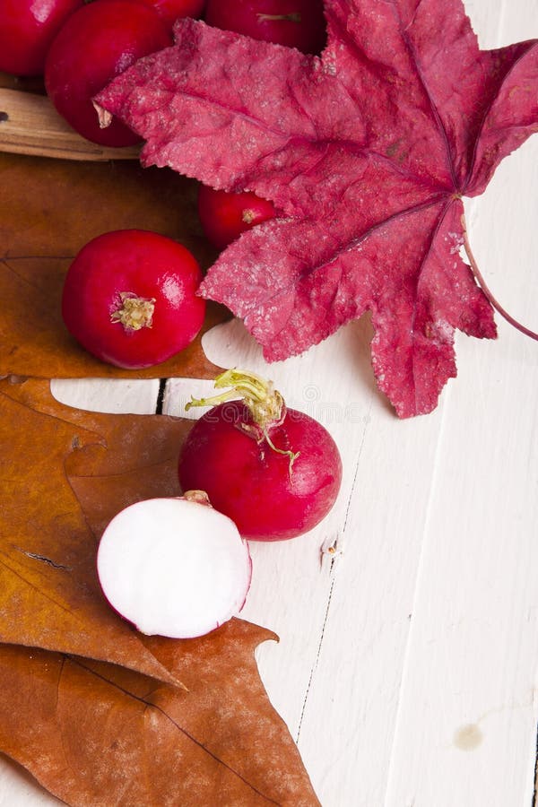 Radishes stock image. Image of vegetables, radishes, healthy 37507887