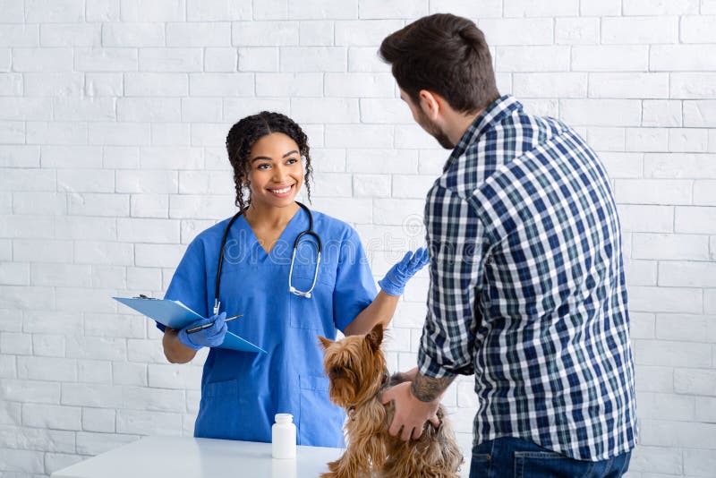 Radosny lekarz zwierzęcy rozmawia z klientem płci męskiej ze słodkim psem w klinice weterynaryjnej