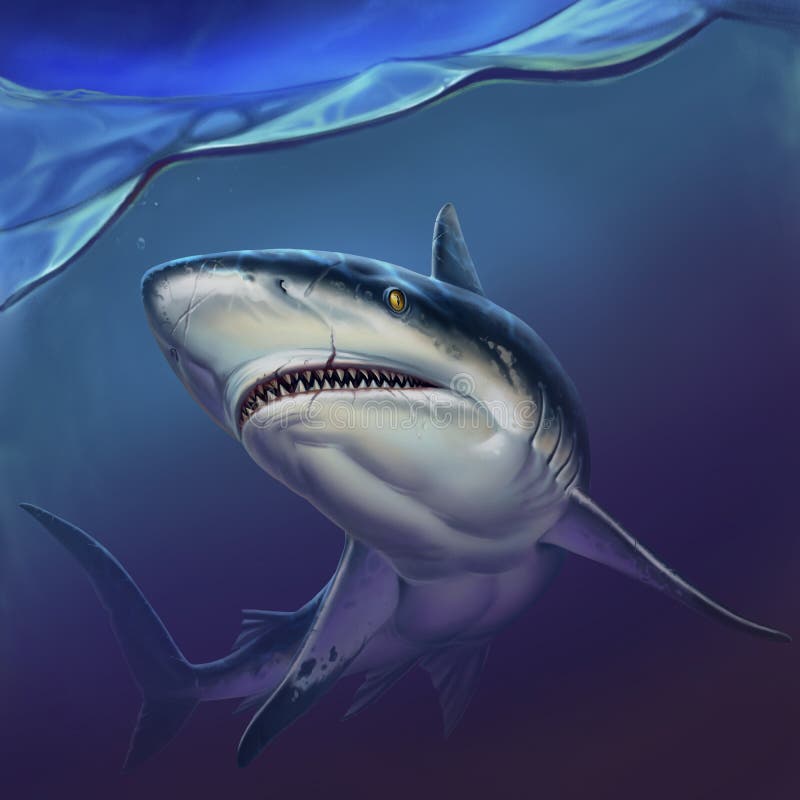 Reef shark on depth realistic background illustration. A large reef shark opened its mouth and swims. Reef shark on depth realistic background illustration. A large reef shark opened its mouth and swims.