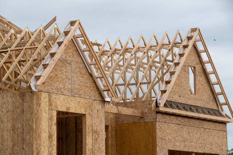 Rafters and Walls Plywood House Stock Photo Image of installation