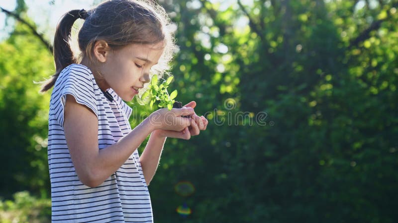 Ragazza adolescente che tiene per mano una giovane pianta verde. piccolo agricoltore. orticoltura