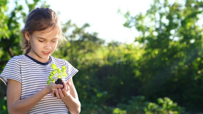 Ragazza adolescente che tiene per mano una giovane pianta verde. piccolo agricoltore. orticoltura