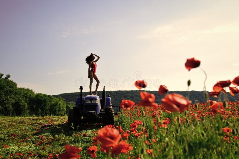 Ragazza alimentata Ragazze del fronte delle edizioni agricoltura, nuova tecnologia, agricoltura, estate immagine stock Ragazza alimentata Ragazze del fronte delle edizioni agricoltura, nuova tecnologia, agricoltura, estate immagine stock