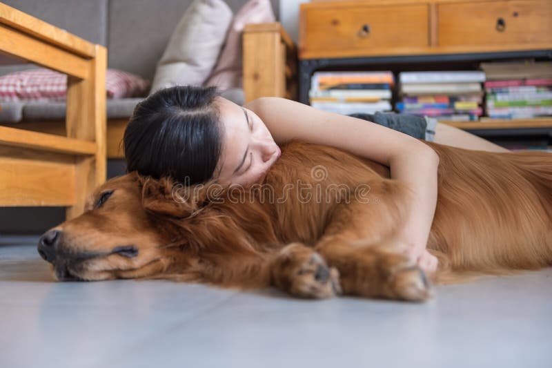 Ragazza che tiene il golden retriever per dormire fotografia stock Ragazza che tiene il golden retriever per dormire fotografia stock