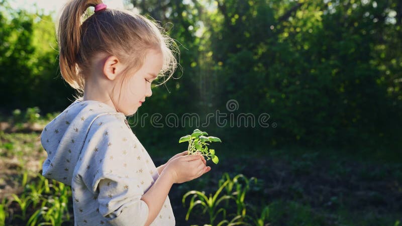 Ragazza che tiene per mano una giovane pianta verde. piccolo agricoltore. giardinaggio.