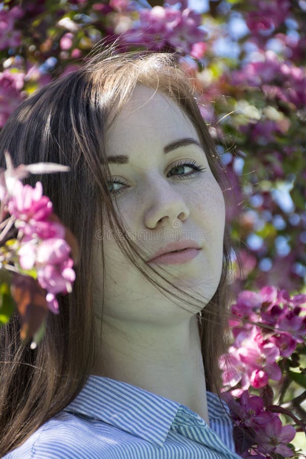 Ragazza fra i fiori di ciliegia, ritratto di una giovane donna, flusso rosa fotografia stock libera da diritti Ragazza fra i fiori di ciliegia, ritratto di una giovane donna, flusso rosa fotografia stock libera da diritti