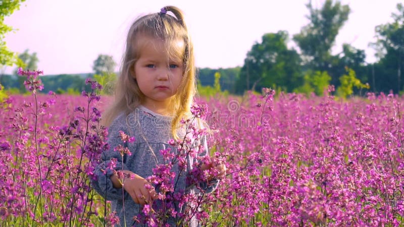 Ragazza nel campo viola dei fiori