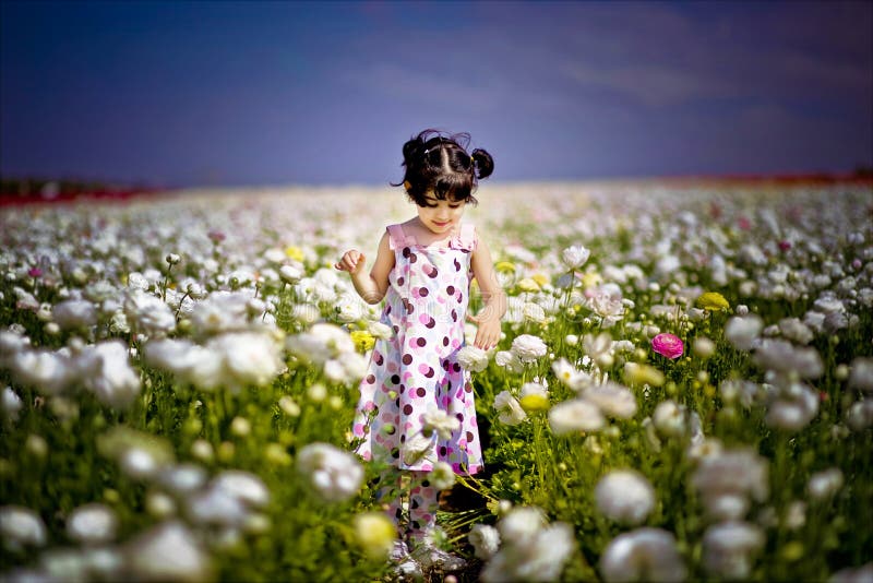 Ragazza nel giacimento di fiore fotografia stock libera da diritti Ragazza nel giacimento di fiore fotografia stock libera da diritti