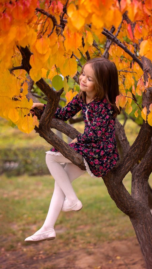 Ragazza sui sogni di un albero di autunno immagine stock Ragazza sui sogni di un albero di autunno immagine stock