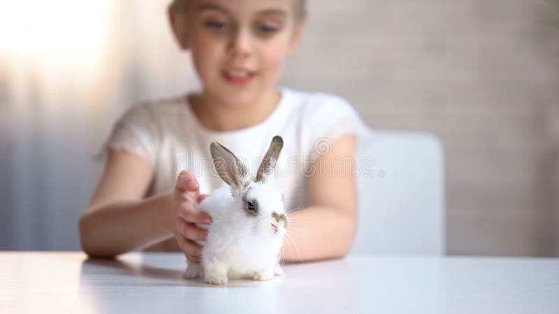 Ragazza sveglia che gode del suo piccolo coniglio adorabile, segnante e piena d'ammirazione animale domestico adorabile immagini stock libere da diritti Ragazza sveglia che gode del suo piccolo coniglio adorabile, segnante e piena d'ammirazione animale domestico adorabile immagini stock libere da diritti
