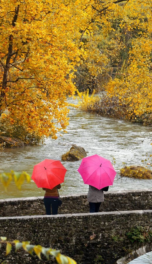 Ragazze, ombrelli variopinti nel parco di autunno immagine stock