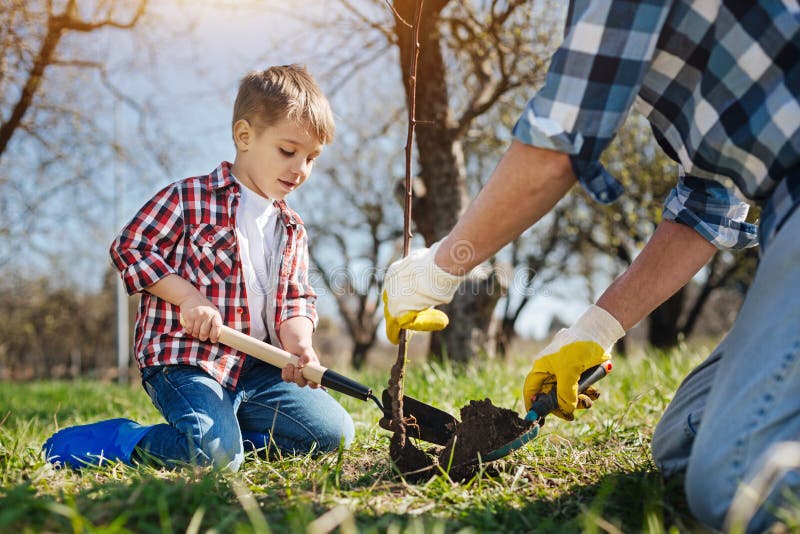 Ragazzino che pianta albero con il suo papà fotografie stock Ragazzino che pianta albero con il suo papà fotografie stock
