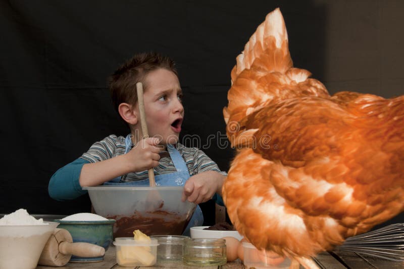 Boy Baking with a hen or chicken on the table in the way. Boy Baking with a hen or chicken on the table in the way