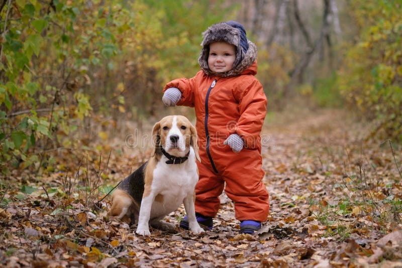 Ragazzo europeo ed il cane da lepre nella foresta di autunno fotografie stock Ragazzo europeo ed il cane da lepre nella foresta di autunno fotografie stock