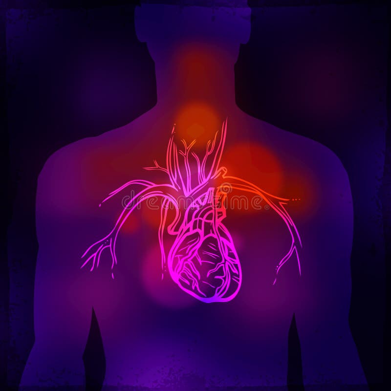 Raggi x umani del cuore royalty illustrazione gratis Raggi x umani del cuore royalty illustrazione gratis