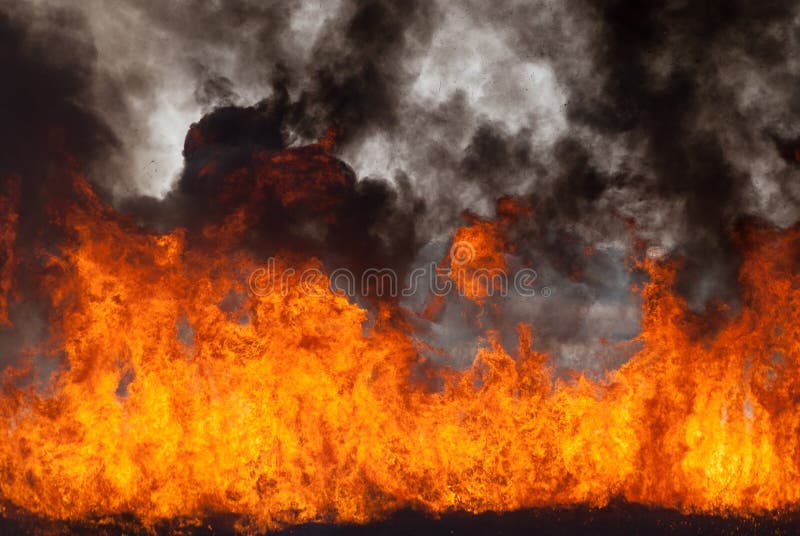 The raging flame of fire burn in the fields, forests and black thick acrid smoke. Big wildfire close-up