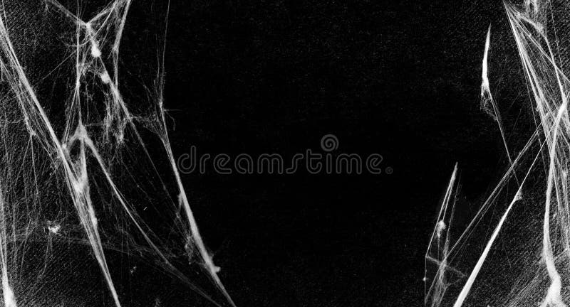 Ragnatele isolate sul fondo nero di lerciume Partito di Halloween illustrazione di stock Ragnatele isolate sul fondo nero di lerciume Partito di Halloween illustrazione di stock