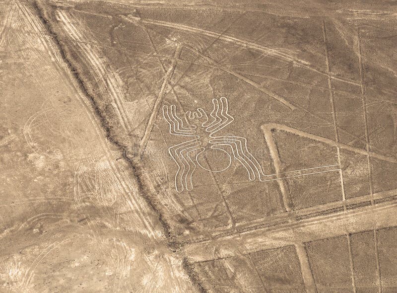 Ragno Geoglyph, linee di Nazca, Perù