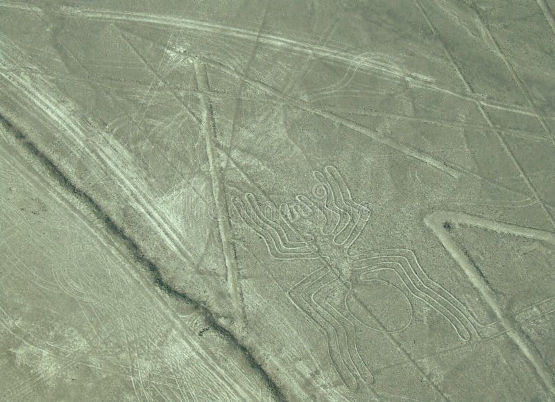 Ragno, linee di Nazca