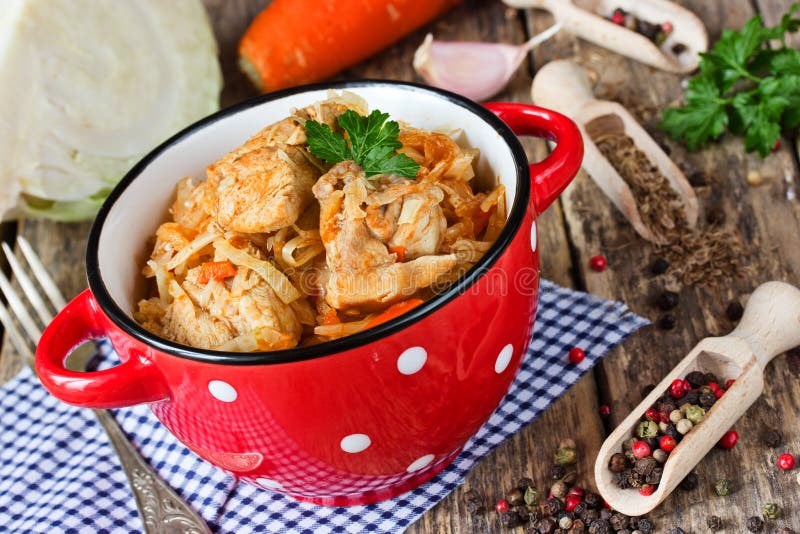 Ragoût de chou avec de la viande sur la cuvette rouge avec des points, plat rustique chaleureux photos stock Ragoût de chou avec de la viande sur la cuvette rouge avec des points, plat rustique chaleureux photos stock