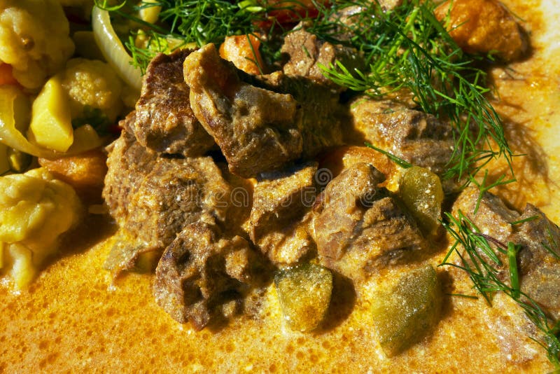 ragu royaltyfri bild ragu royaltyfri bild