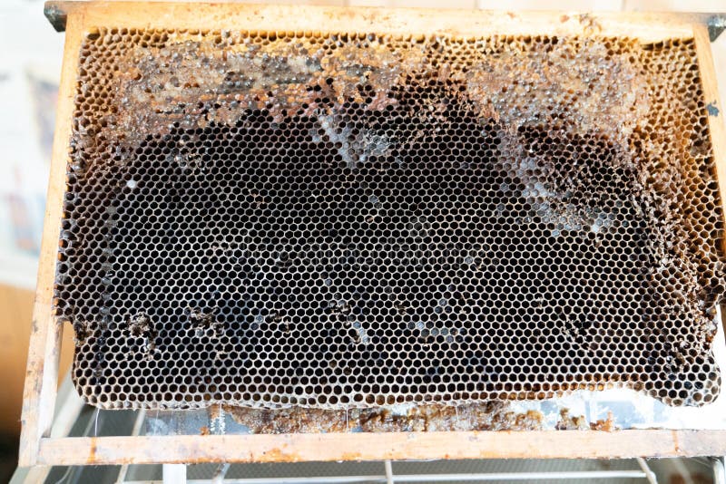 Rahmen leer von Bienen-Wabenwabenbeständen für Bienenstöcke