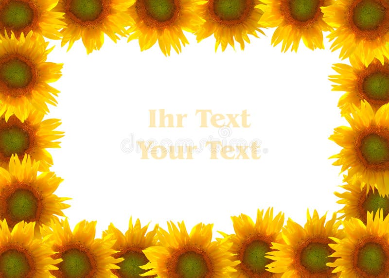 Rahmen Von Den Sonnenblumen Stockbild - Bild von orange, gelb: 37643735