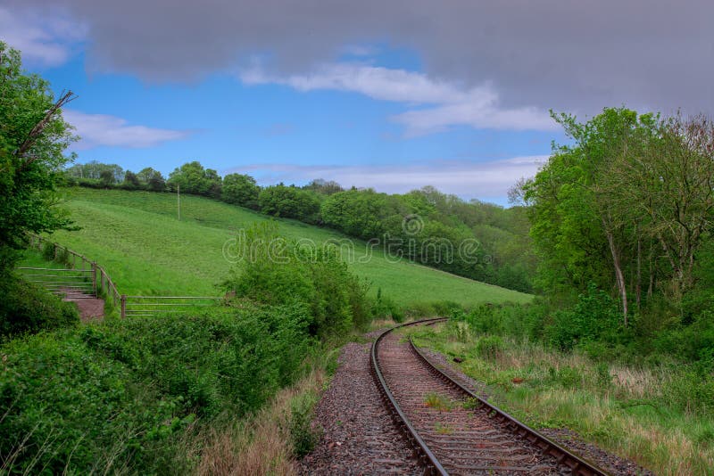 Rail the Tracks of the UK Railways Stock Photo Image of colourful, grass 219348332