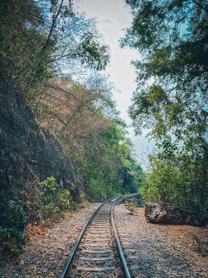 Railroad in the Jungle Nature Scene Stock Photo - Image of historical,  journey: 171276790