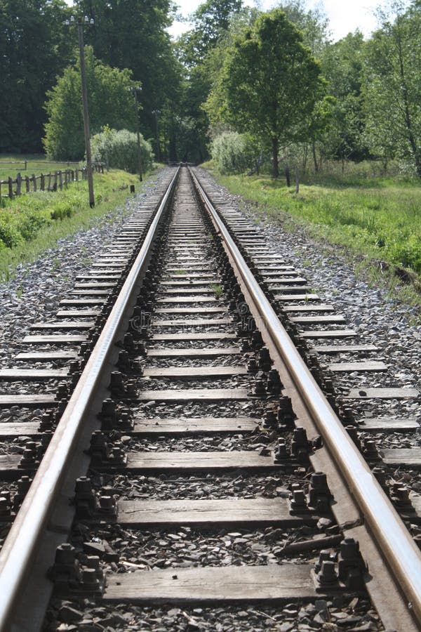 Railroad Tracks Amidst Trees In Forest Picture. Image 97187367