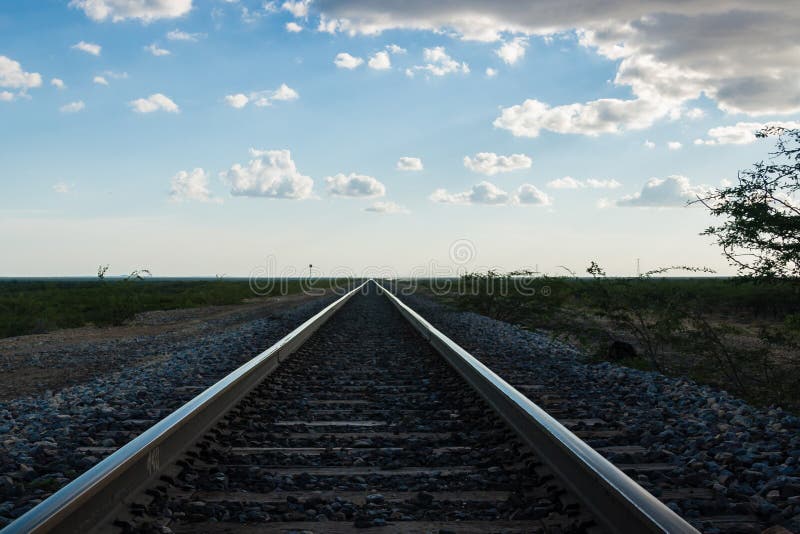 Abandoned Converging Railroad Tracks Stock Image - Image 