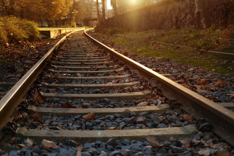 Railroad Tracks, Metal Rails, Concrete Sleepers in Sunlight, Engineered