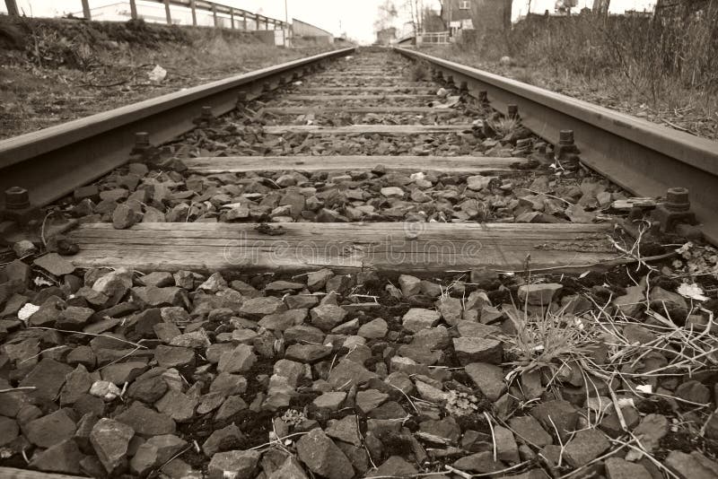 Died rails Died rails