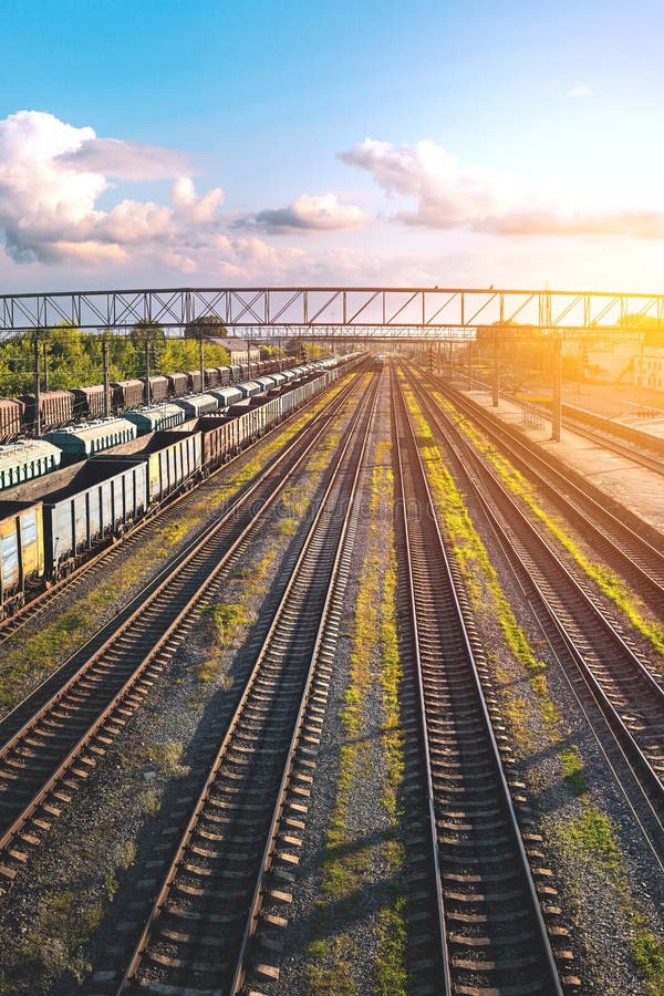 Railway Station of Freight Trains from a Height Stock Photo Image of