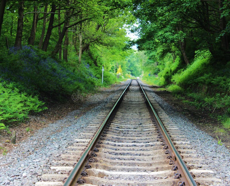 Railway track. stock photo. Image of foliage, england 39125778