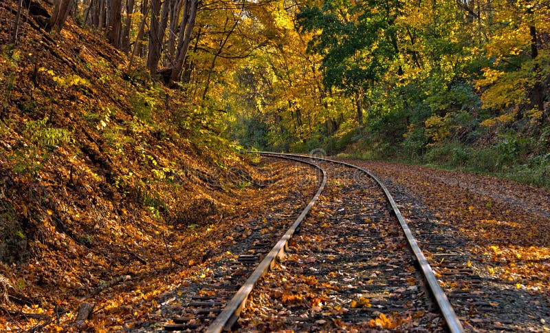 Railway tracks with fall foliage