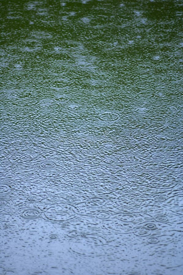 Déšť padající na jezero a výrobu bublin a kruhy, obrat vody v přírodě.