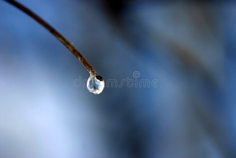 Rain drop stock photo Rain drop stock photo
