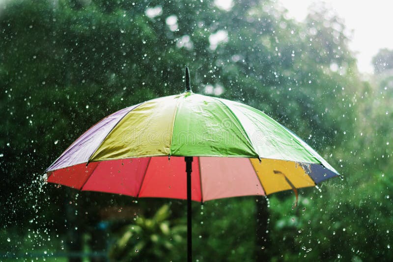 Đôi khi, một chiếc ô đơn giản có thể mang lại nhiều hơn chỉ là một món phụ kiện. Hãy cùng chiêm ngưỡng hình ảnh với nền xanh lá cây của bức hình, giữa cơn mưa đổ, chiếc ô lấp lánh sẽ trở nên rực rỡ, mang lại cảm giác vô cùng ấm áp.